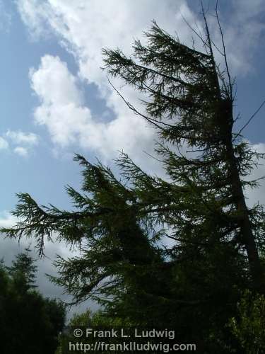 Cairns Hill, County Sligo